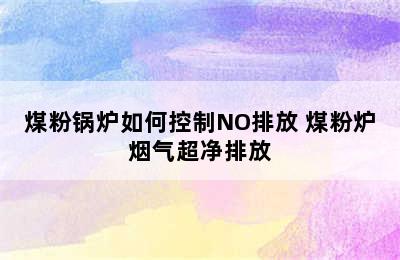 煤粉锅炉如何控制NO排放 煤粉炉烟气超净排放